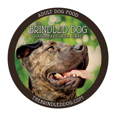 Adult Dog Food
